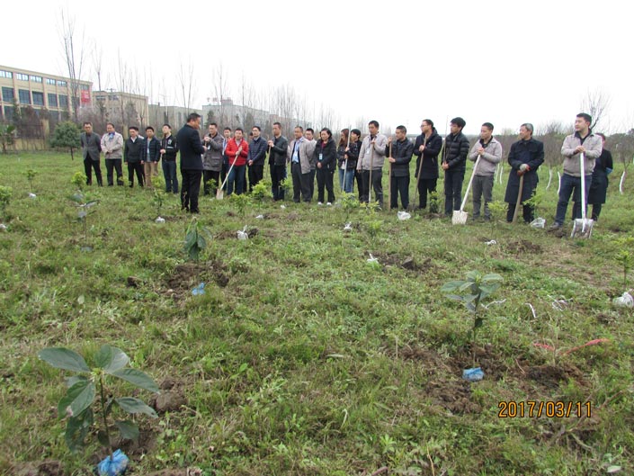 Galaxy�����ӹ���(�й�)-�ٷ���վ